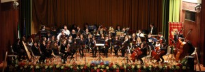 l'orchestra sinfonica giovanile della piana